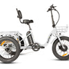 NEW-TRIKE 2.0